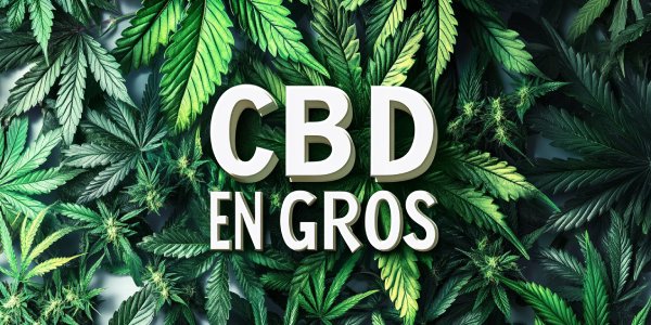 Qualité CBD